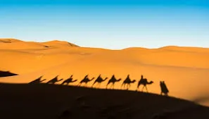 Caravana de camellos cruzando una duna al atardecer